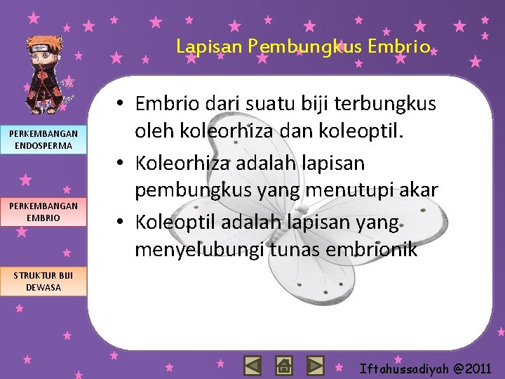 Lapisan Pembungkus Embrio PERKEMBANGAN ENDOSPERMA PERKEMBANGAN EMBRIO • Embrio dari suatu biji terbungkus oleh