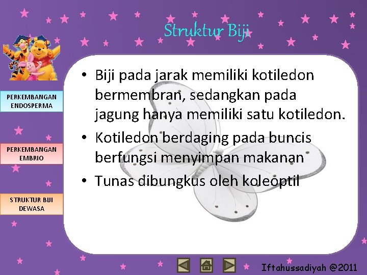 Struktur Biji PERKEMBANGAN ENDOSPERMA PERKEMBANGAN EMBRIO • Biji pada jarak memiliki kotiledon bermembran, sedangkan