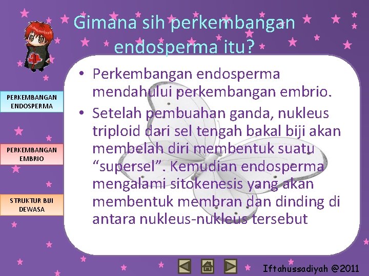 Gimana sih perkembangan endosperma itu? PERKEMBANGAN ENDOSPERMA PERKEMBANGAN EMBRIO STRUKTUR BIJI DEWASA • Perkembangan