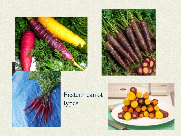 Eastern carrot types 