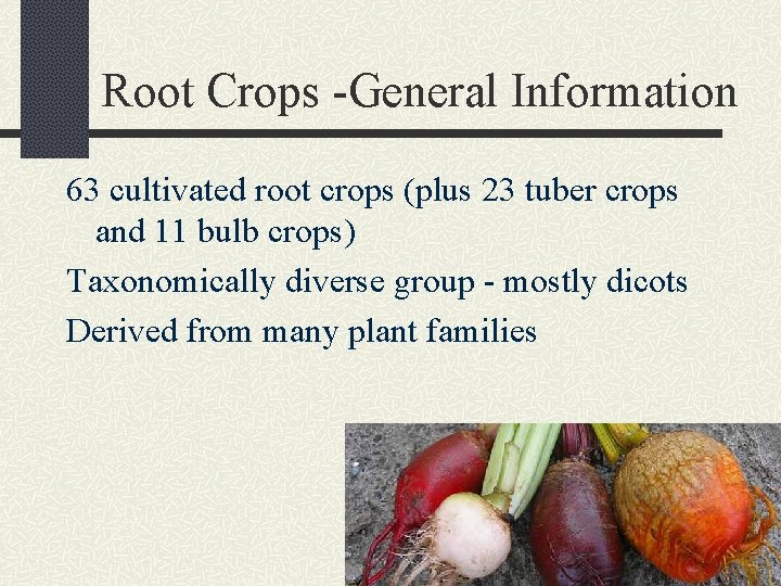 Root Crops -General Information 63 cultivated root crops (plus 23 tuber crops and 11