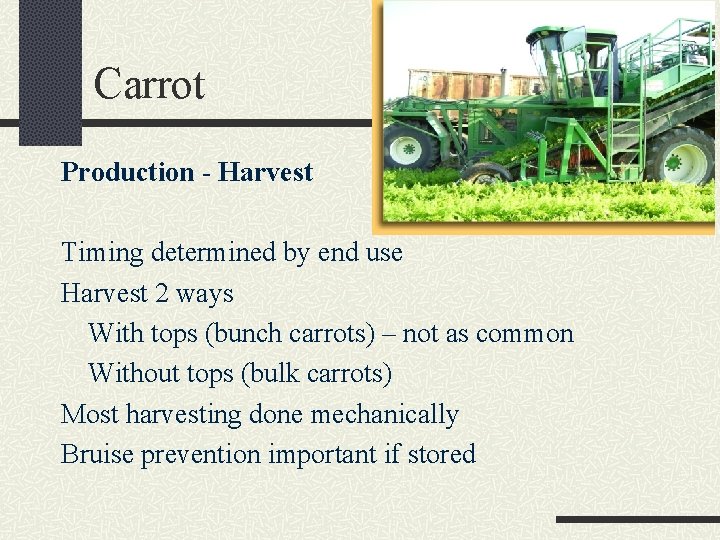 Carrot Production - Harvest Timing determined by end use Harvest 2 ways With tops