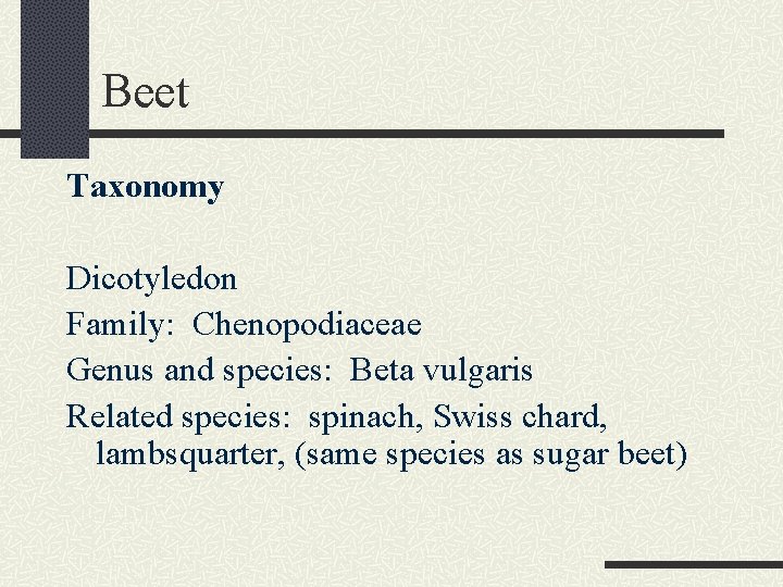 Beet Taxonomy Dicotyledon Family: Chenopodiaceae Genus and species: Beta vulgaris Related species: spinach, Swiss