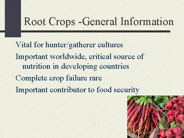 Root Crops -General Information Vital for hunter/gatherer cultures Important worldwide, critical source of nutrition