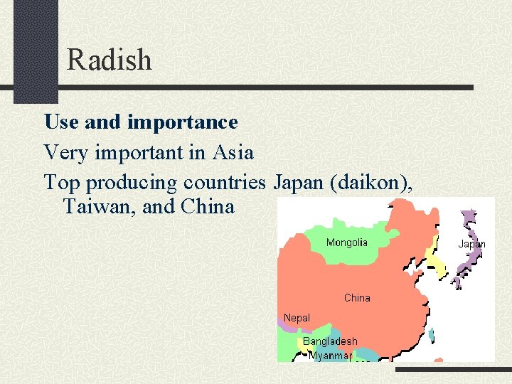 Radish Use and importance Very important in Asia Top producing countries Japan (daikon), Taiwan,