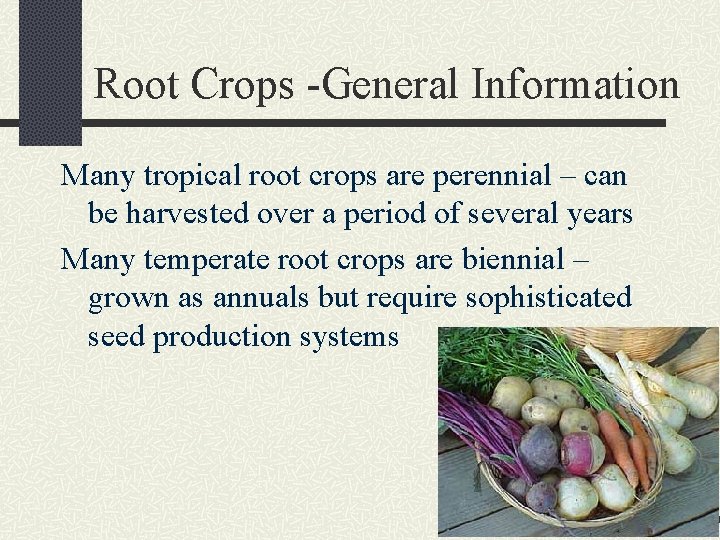 Root Crops -General Information Many tropical root crops are perennial – can be harvested