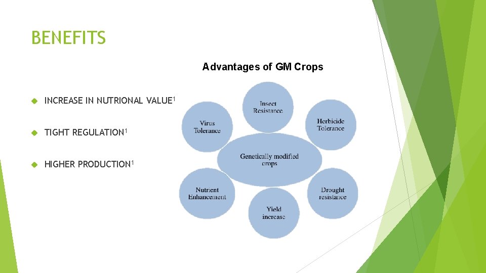 BENEFITS Advantages of GM Crops INCREASE IN NUTRIONAL VALUE 1 TIGHT REGULATION 1 HIGHER