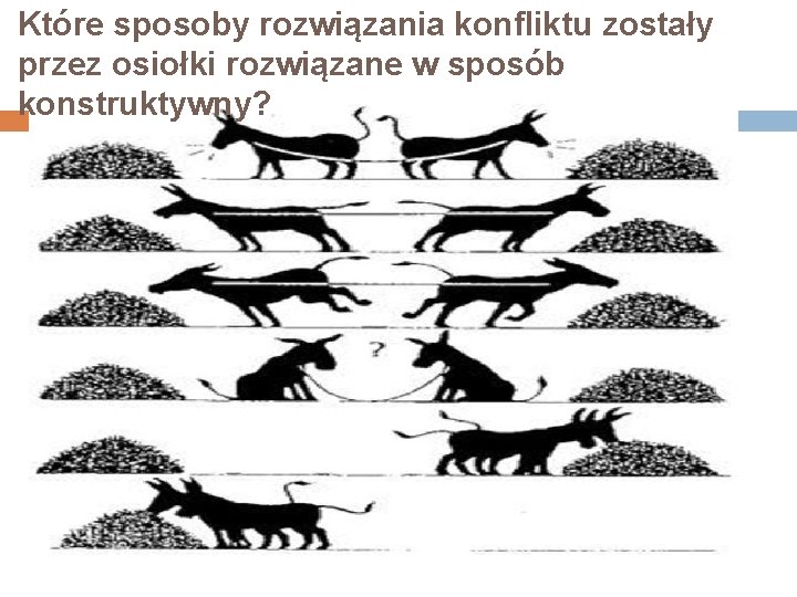 Które sposoby rozwiązania konfliktu zostały przez osiołki rozwiązane w sposób konstruktywny? 