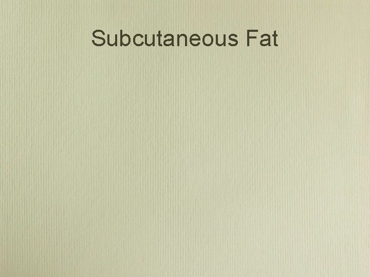 Subcutaneous Fat 