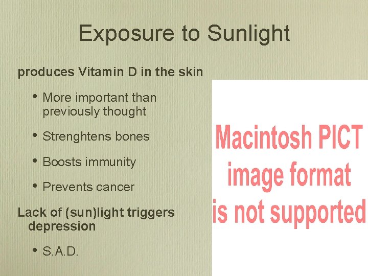 Exposure to Sunlight produces Vitamin D in the skin • More important than previously