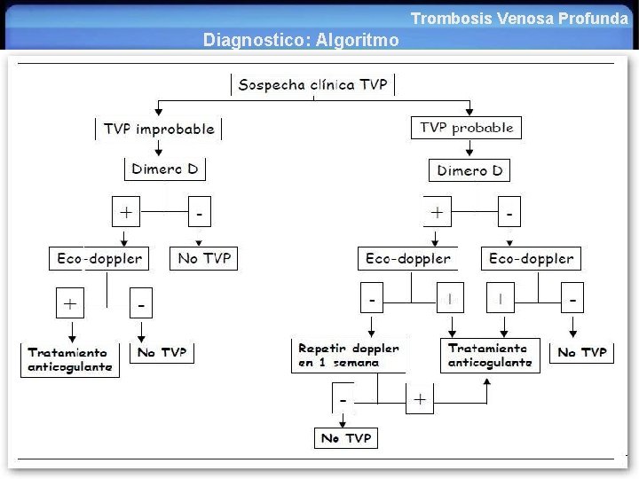 Trombosis Venosa Profunda Diagnostico: Algoritmo Diagnostico: En la actualidad se hace en base a