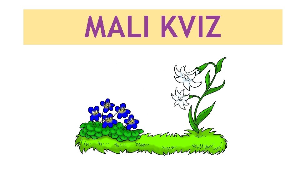 MALI KVIZ 