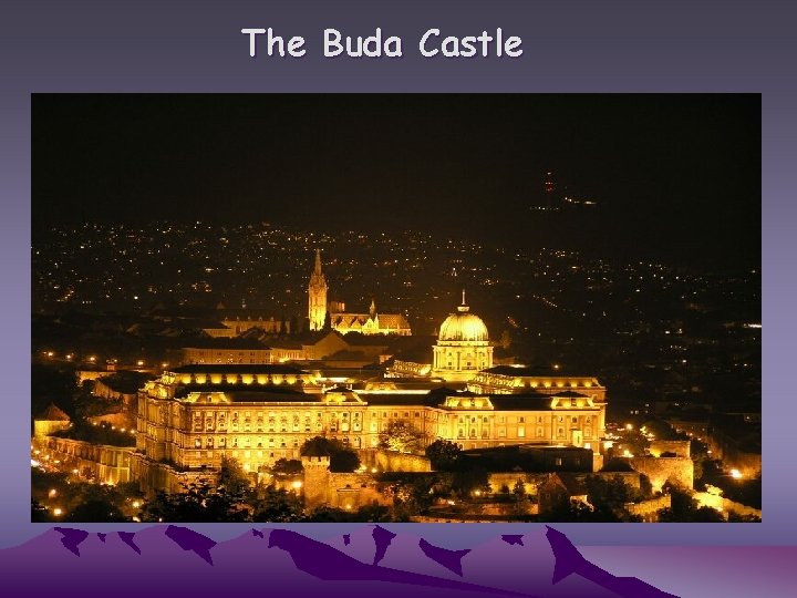 The Buda Castle 