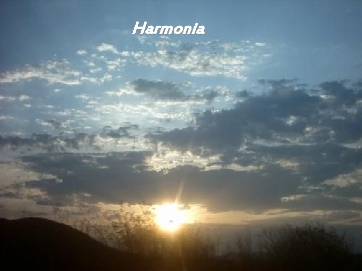 Harmonia 