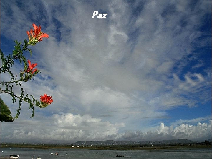 Paz 