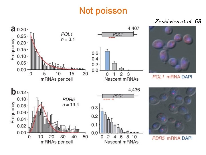 Not poisson Zenklusen et al. ‘ 08 