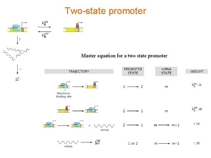 Two-state promoter Master equation for a two state promoter 