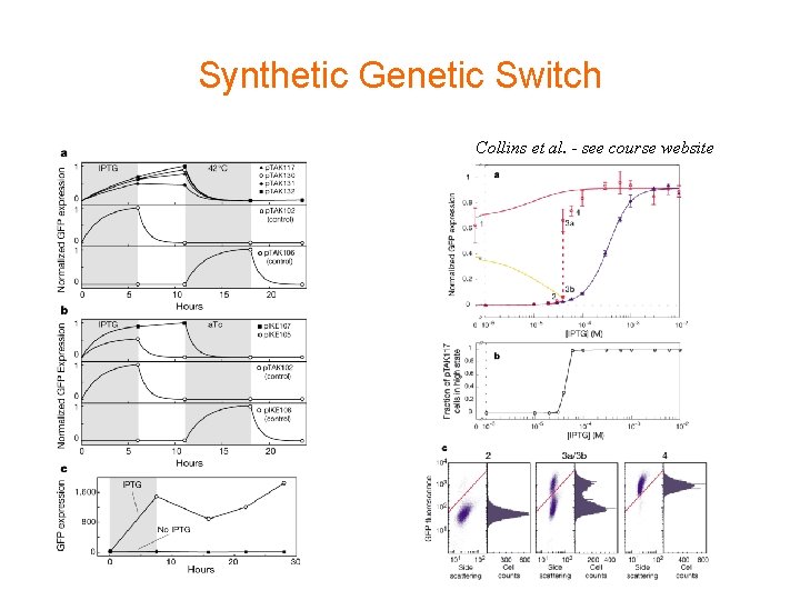 Synthetic Genetic Switch Collins et al. - see course website 