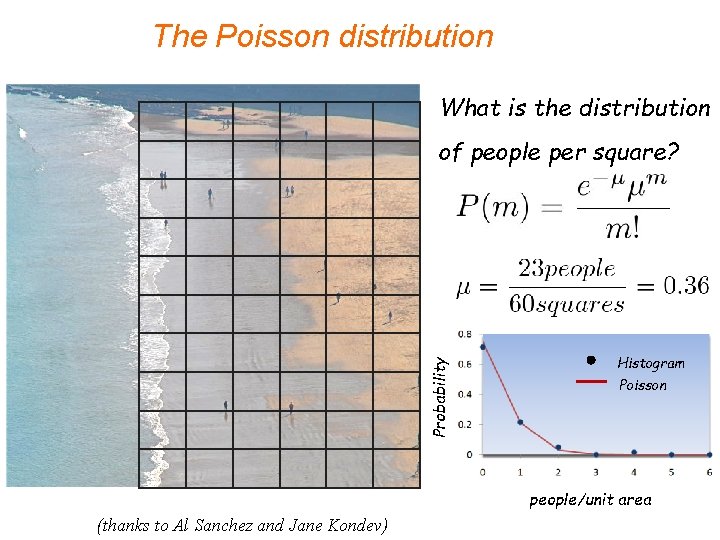 The Poisson distribution What is the distribution Probability of people per square? Histogram Poisson