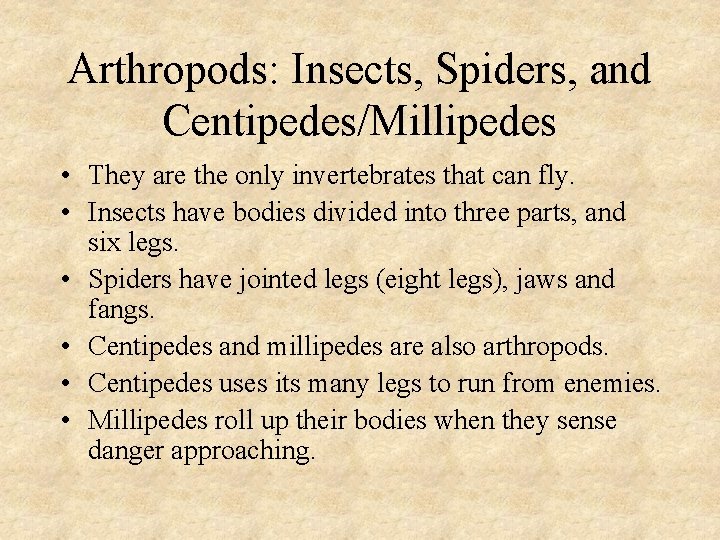 Arthropods: Insects, Spiders, and Centipedes/Millipedes • They are the only invertebrates that can fly.