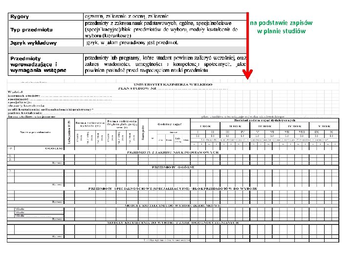 na podstawie zapisów w planie studiów 