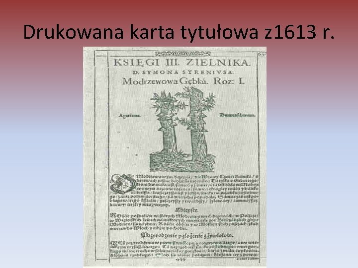 Drukowana karta tytułowa z 1613 r. 