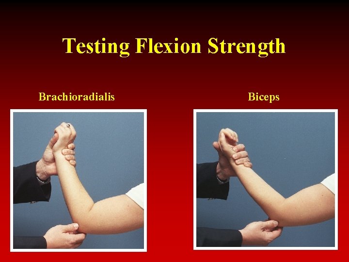 Testing Flexion Strength Brachioradialis Biceps 