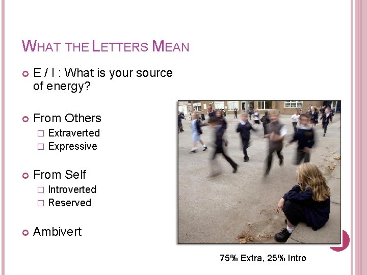 WHAT THE LETTERS MEAN E / I : What is your source of energy?