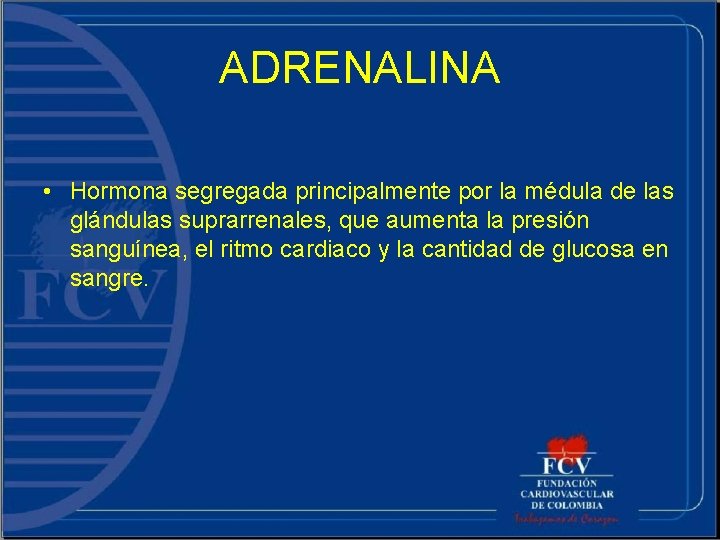 ADRENALINA • Hormona segregada principalmente por la médula de las glándulas suprarrenales, que aumenta