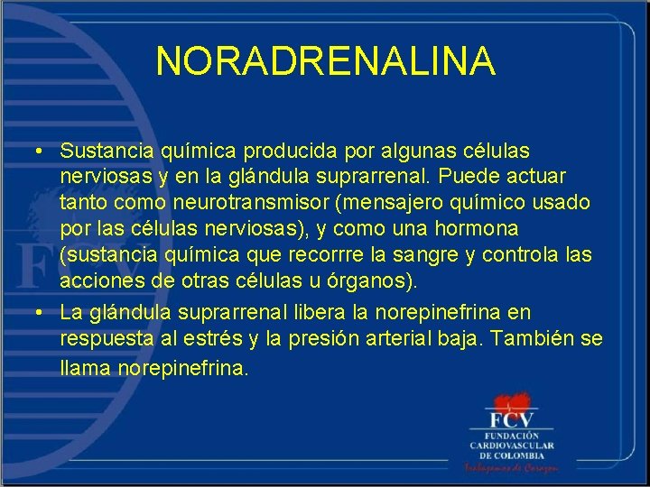 NORADRENALINA • Sustancia química producida por algunas células nerviosas y en la glándula suprarrenal.