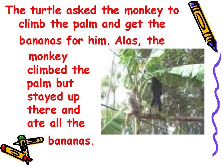 The turtle asked the monkey to climb the palm and get the bananas for