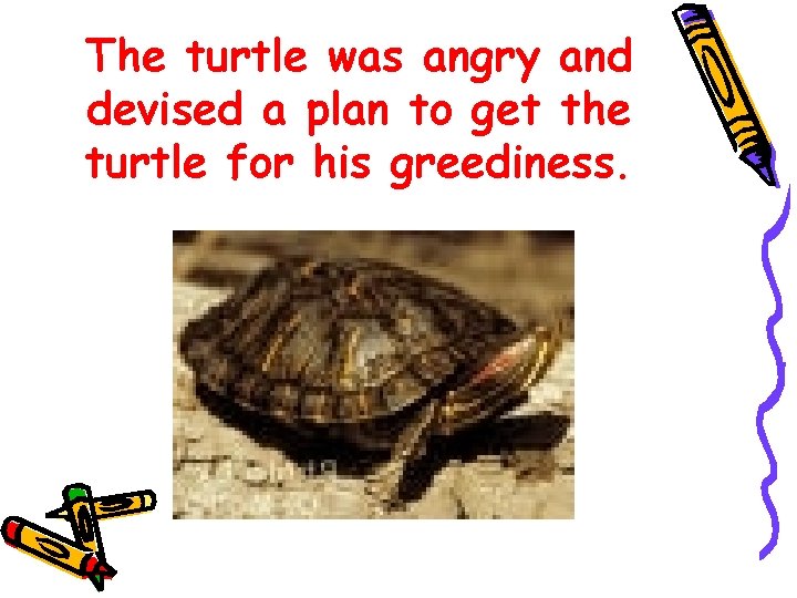 The turtle was angry and devised a plan to get the turtle for his