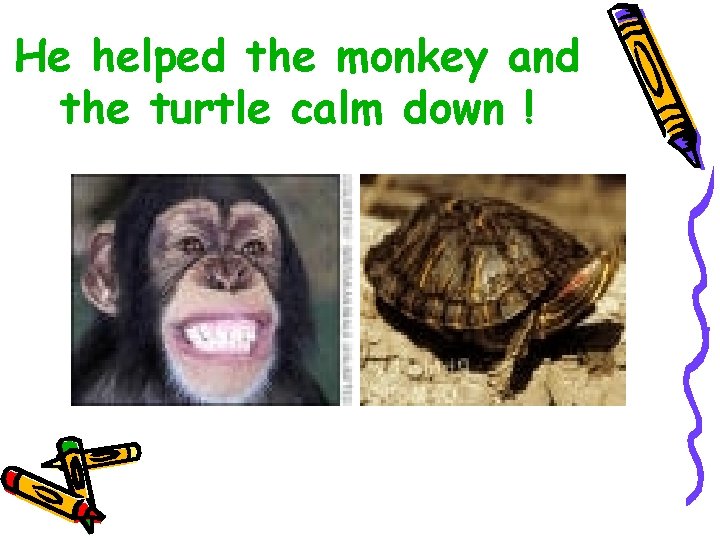 He helped the monkey and the turtle calm down ! 