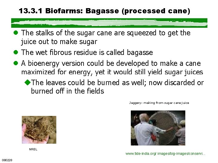 13. 3. 1 Biofarms: Bagasse (processed cane) l The stalks of the sugar cane