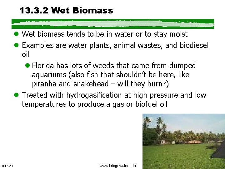 13. 3. 2 Wet Biomass l Wet biomass tends to be in water or