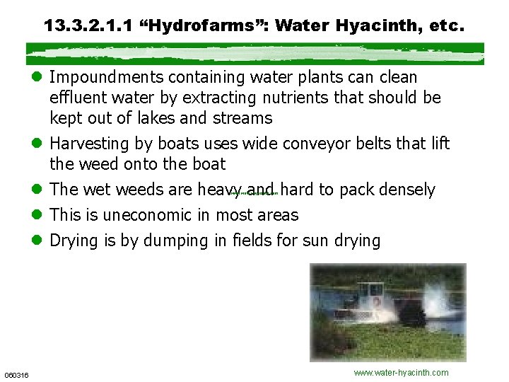 13. 3. 2. 1. 1 “Hydrofarms”: Water Hyacinth, etc. l Impoundments containing water plants