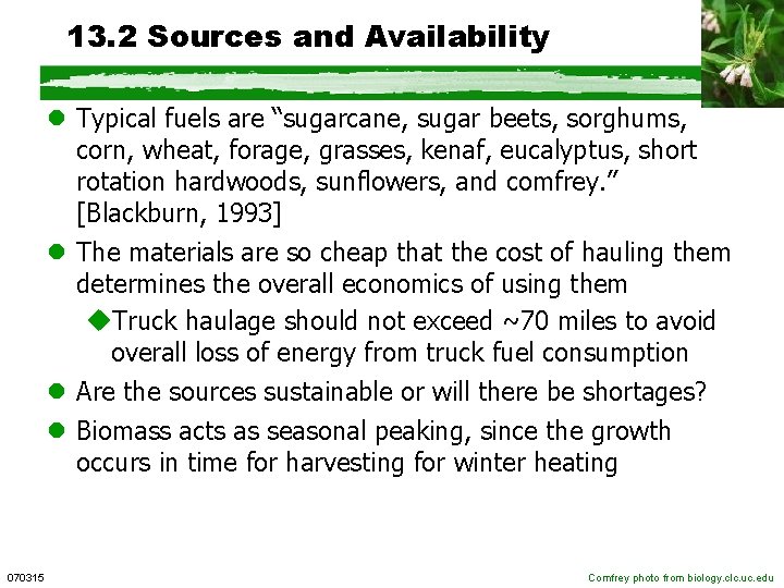 13. 2 Sources and Availability l Typical fuels are “sugarcane, sugar beets, sorghums, corn,