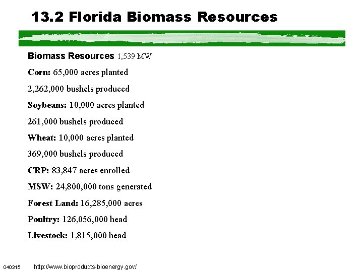 13. 2 Florida Biomass Resources 1, 539 MW Corn: 65, 000 acres planted 2,