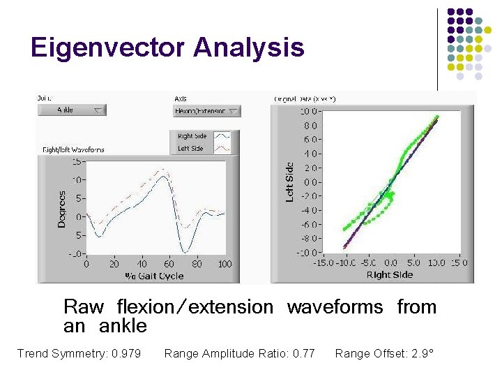 Eigenvector Analysis Raw flexion/extension waveforms from an ankle Trend Symmetry: 0. 979 Range Amplitude