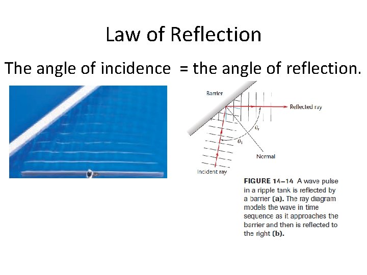 Law of Reflection The angle of incidence = the angle of reflection. 