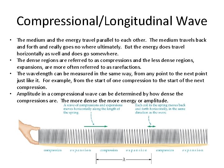 Compressional/Longitudinal Wave • The medium and the energy travel parallel to each other. The