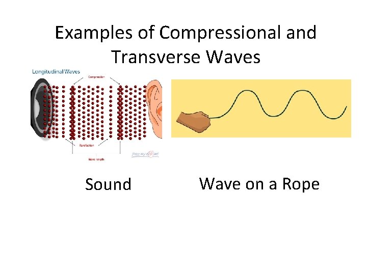 Examples of Compressional and Transverse Waves Sound Wave on a Rope 