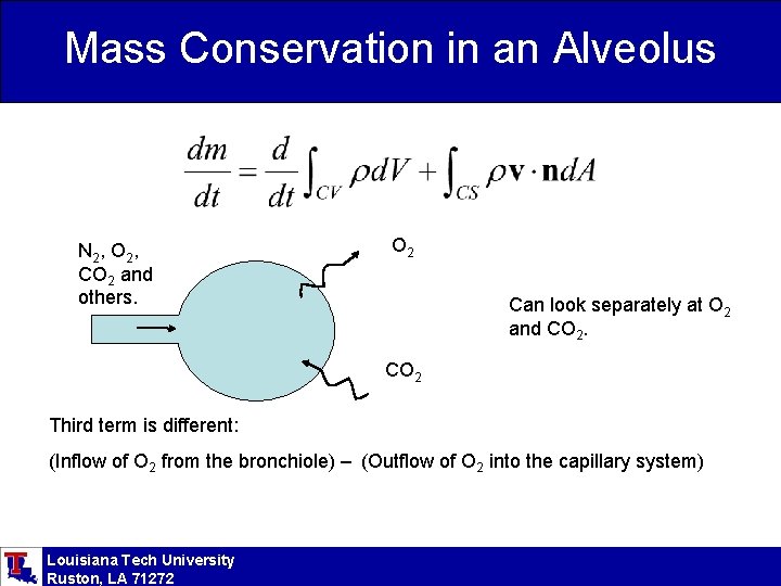 Mass Conservation in an Alveolus N 2 , O 2 , CO 2 and