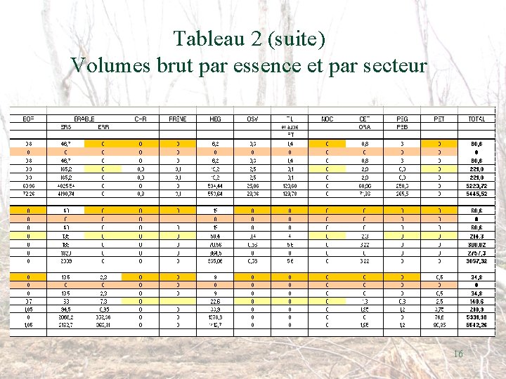 Tableau 2 (suite) Volumes brut par essence et par secteur 16 