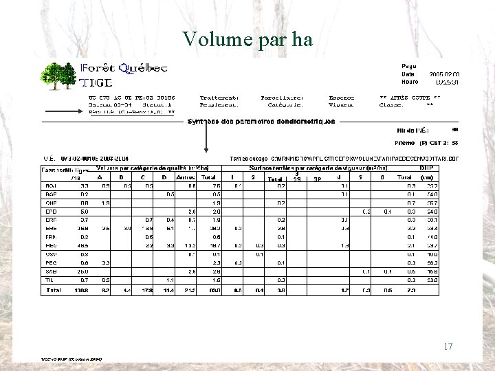 Volume par ha 17 