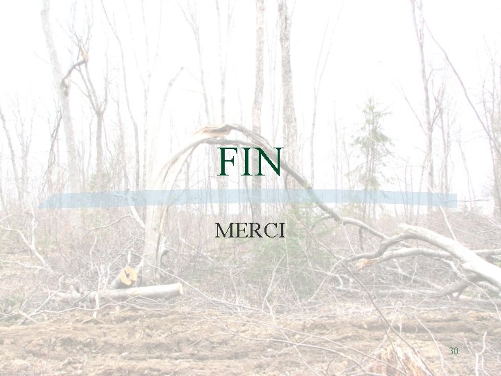 FIN MERCI 30 