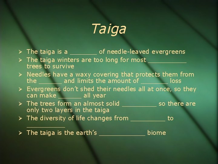 Taiga The taiga is a _______ of needle-leaved evergreens The taiga winters are too