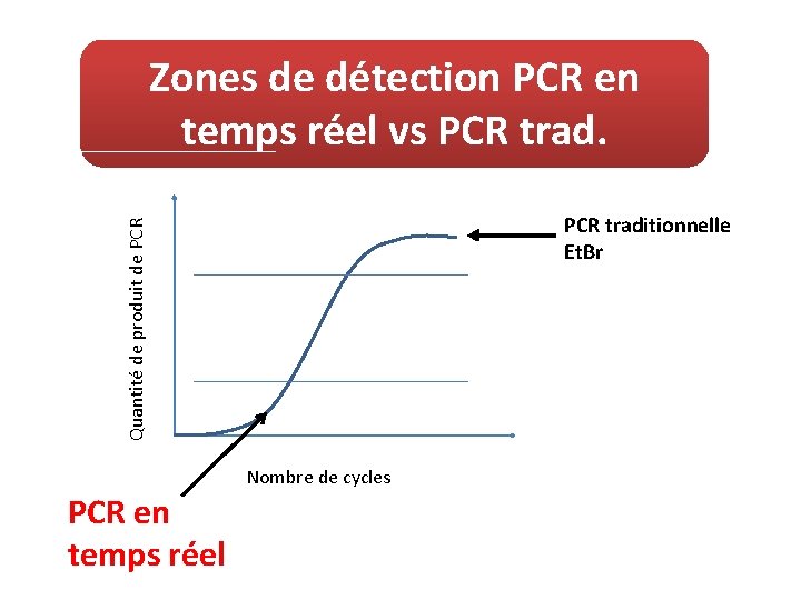 Zones de détection PCR en temps réel vs PCR trad. Quantité de produit de