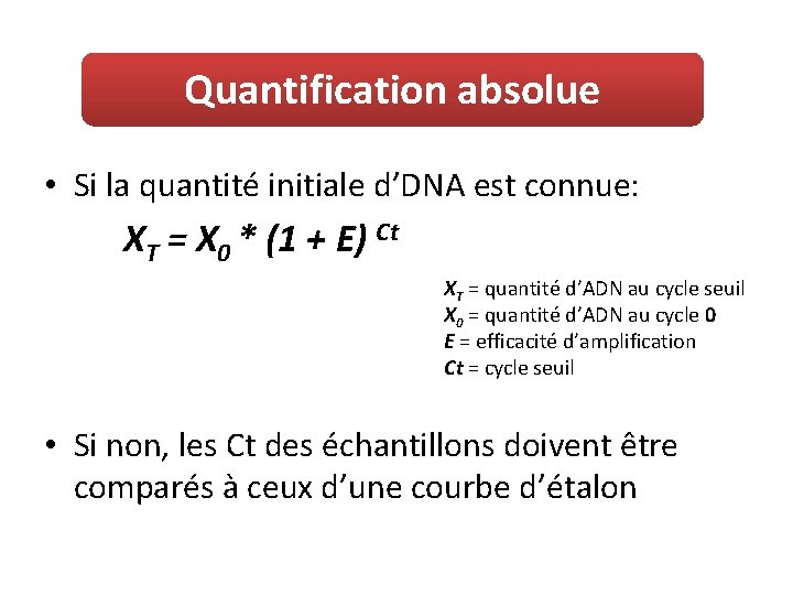 Quantification absolue • Si la quantité initiale d’DNA est connue: XT = X 0