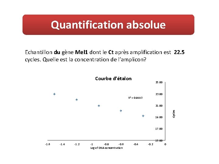 Quantification absolue Echantillon du gène Mel 1 dont le Ct après amplification est 22.